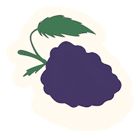Flower Smoke Sticker by Wildlife Cannabis