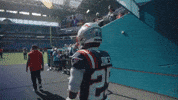 Football Nfl GIF by New England Patriots