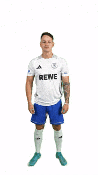 Vflnauen GIF