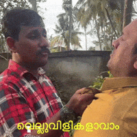 Kerala Kochi GIF