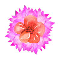 Flowers Flores Sticker by JK Shopping DF