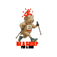 Mont Blanc Trail Sticker by ChamonixParapente