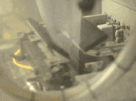 chicken nuggets what GIF