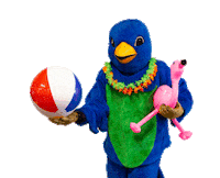 Snowboarding Angry Bird Sticker by Snowbird