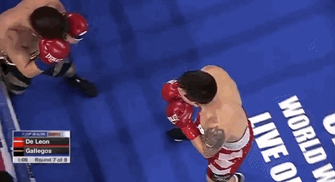 top rank sport GIF by Top Rank Boxing