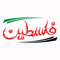 Palestine GIF by MUSLIM