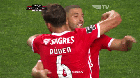 Sl Benfica Hug GIF by Sport Lisboa e Benfica