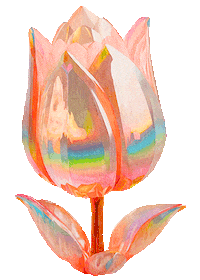Rainbow Flower Sticker