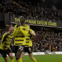 Sorry Premier League GIF by Watford Football Club
