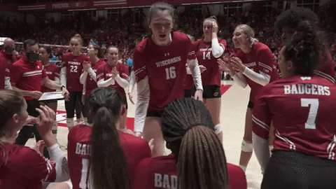 Happy Wisconsin Volleyball GIF by Wisconsin Badgers