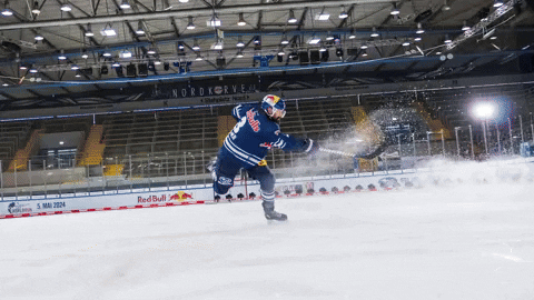 Hockey Matrix GIF by Red Bull Munich