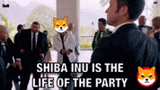 Shib Coin GIF by SHIB MEMES