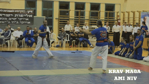 essek giphyupload GIF