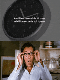 fun facts wow GIF