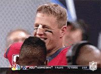 Houston Texans Celebration GIF by NFL