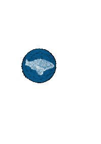 Fish 魚 Sticker by Illustrator.aki
