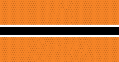 ice hockey GIF by Lehigh Valley Phantoms