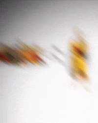 Fiction GIF