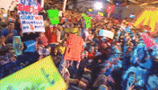 Crowd GIF by Big Brother Australia