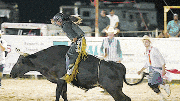 Season 1 Challenge GIF by Freeform