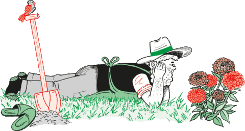 Flowers Garden Sticker by Gärtner Pötschke