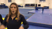 michigan women's gymnastics rings GIF by Michigan Athletics