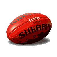 Aussie Rules Finals Sticker by AFL