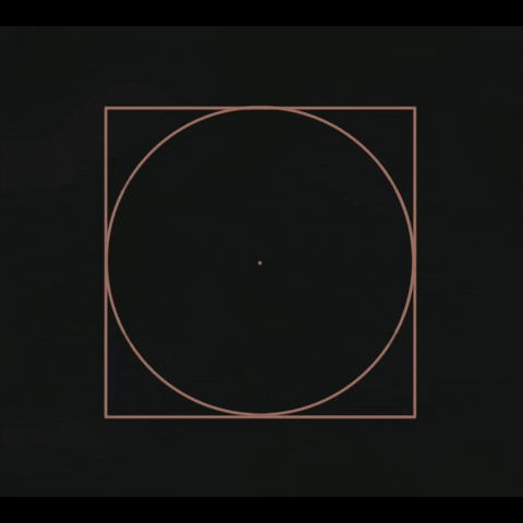 studeii giphyupload GIF