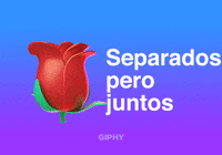 Separados Pero Juntos GIF by GIPHY Cares