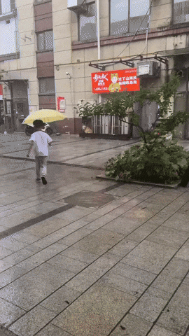 cuteanimalland giphyupload GIF