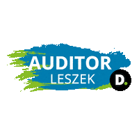 Auditorleszek Sticker by DeloitteHungary