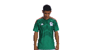 World Cup Futbol Sticker by MiSelecciónMX