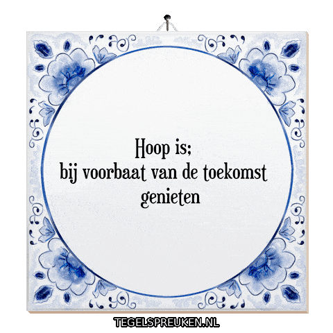 Hoop Nl Sticker by Tegelspreuken.nl