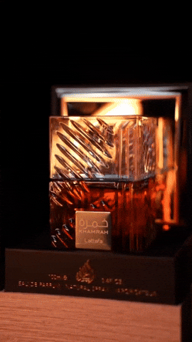 Nike Dunks en acción (GIF)