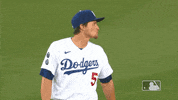 Major League Baseball Sport GIF by MLB