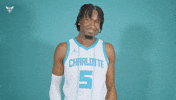 Hive Mentality Mark Williams GIF by Charlotte Hornets