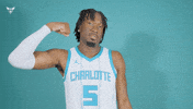 Hive Mentality Mark Williams GIF by Charlotte Hornets