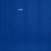 Pintora GIF by Tintas Coral