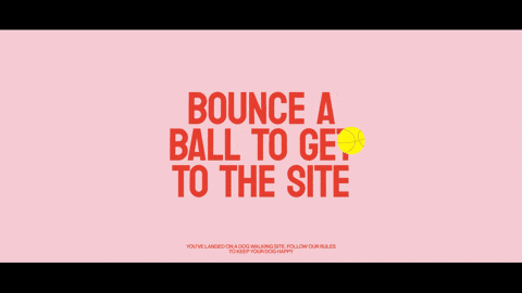 Don’t board me web design