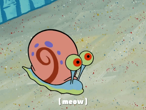 season 4 episode 10 GIF by SpongeBob SquarePants