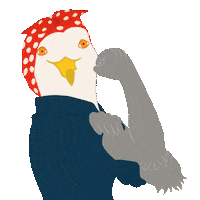 Seagull Superwoman Sticker