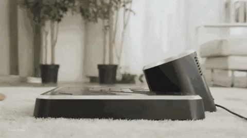 GIF by CreatorFocus.com