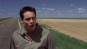 GIF by Giphy QA