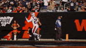 Football Pick Six GIF by New England Patriots