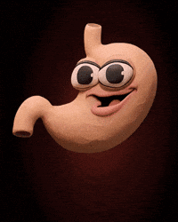 Food Lover Goofy Grin GIF