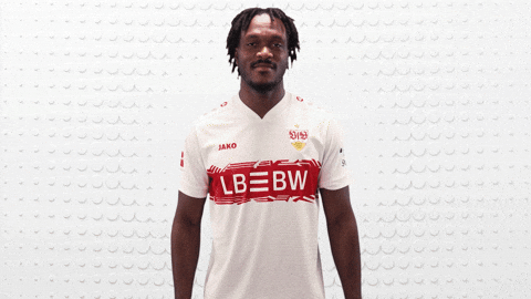 Vfb Stuttgart Hello GIF by Bundesliga