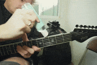 Ec Pascal GIF