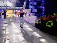shawn michaels wrestling GIF by WWE