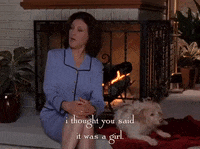 season 5 netflix GIF by Gilmore Girls 