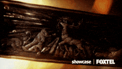 game of thrones hbo GIF by Foxtel